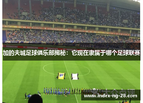 加的夫城足球俱乐部揭秘：它现在隶属于哪个足球联赛