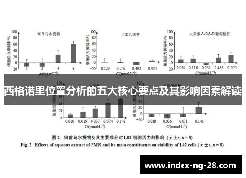 西格诺里位置分析的五大核心要点及其影响因素解读
