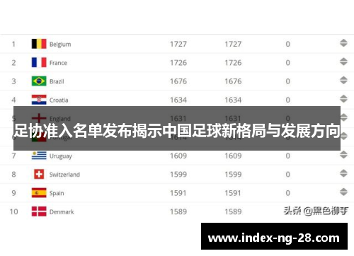 足协准入名单发布揭示中国足球新格局与发展方向